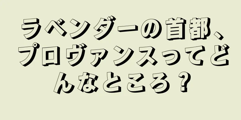 ラベンダーの首都、プロヴァンスってどんなところ？