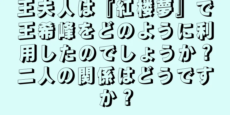 王夫人は『紅楼夢』で王希峰をどのように利用したのでしょうか？二人の関係はどうですか？