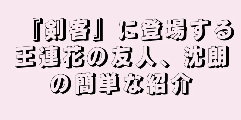 『剣客』に登場する王連花の友人、沈朗の簡単な紹介