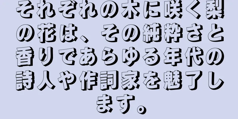 それぞれの木に咲く梨の花は、その純粋さと香りであらゆる年代の詩人や作詞家を魅了します。