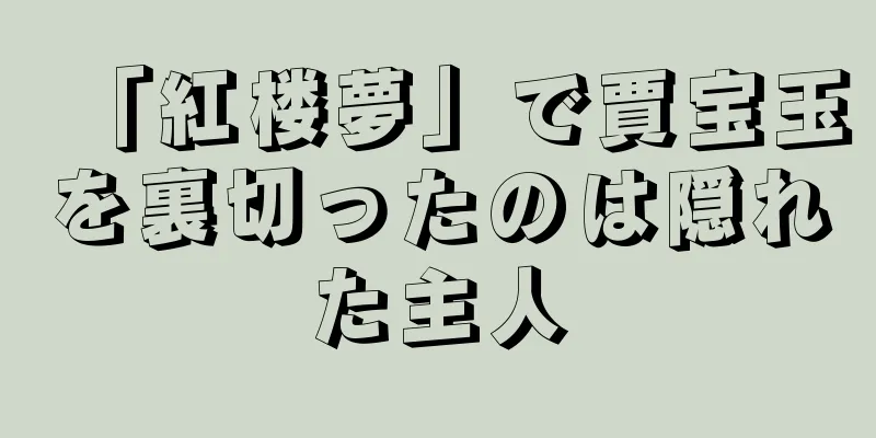 「紅楼夢」で賈宝玉を裏切ったのは隠れた主人