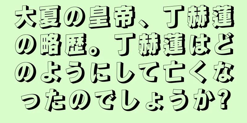 大夏の皇帝、丁赫蓮の略歴。丁赫蓮はどのようにして亡くなったのでしょうか?