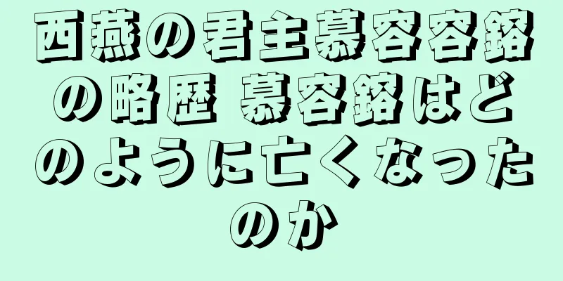西燕の君主慕容容鎔の略歴 慕容鎔はどのように亡くなったのか