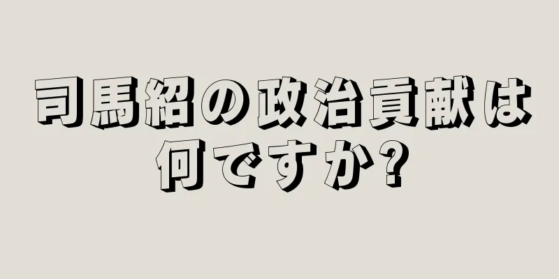 司馬紹の政治貢献は何ですか?