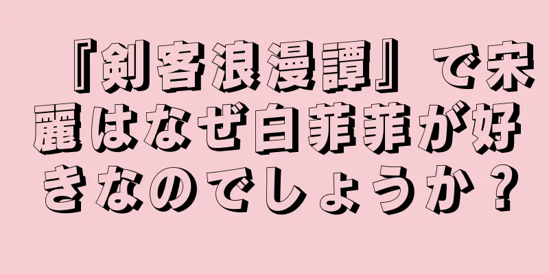 『剣客浪漫譚』で宋麗はなぜ白菲菲が好きなのでしょうか？