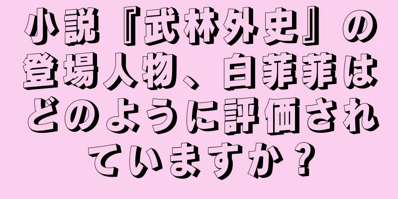 小説『武林外史』の登場人物、白菲菲はどのように評価されていますか？