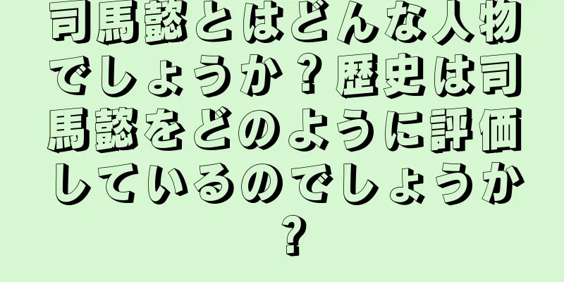 司馬懿とはどんな人物でしょうか？歴史は司馬懿をどのように評価しているのでしょうか？