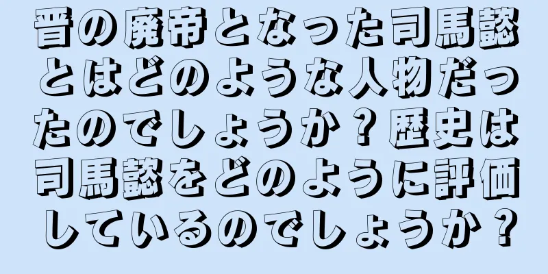 晋の廃帝となった司馬懿とはどのような人物だったのでしょうか？歴史は司馬懿をどのように評価しているのでしょうか？