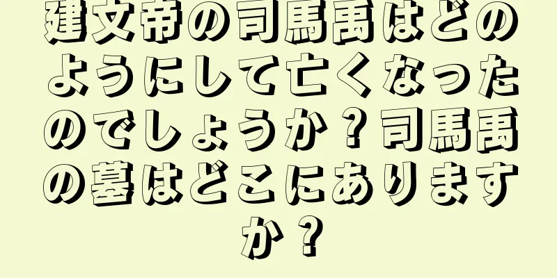 建文帝の司馬禹はどのようにして亡くなったのでしょうか？司馬禹の墓はどこにありますか？