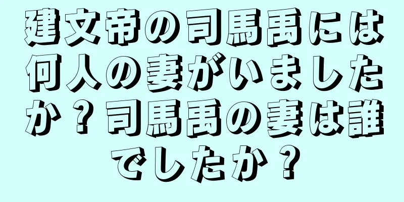 建文帝の司馬禹には何人の妻がいましたか？司馬禹の妻は誰でしたか？