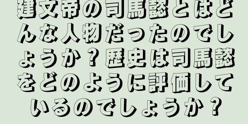 建文帝の司馬懿とはどんな人物だったのでしょうか？歴史は司馬懿をどのように評価しているのでしょうか？