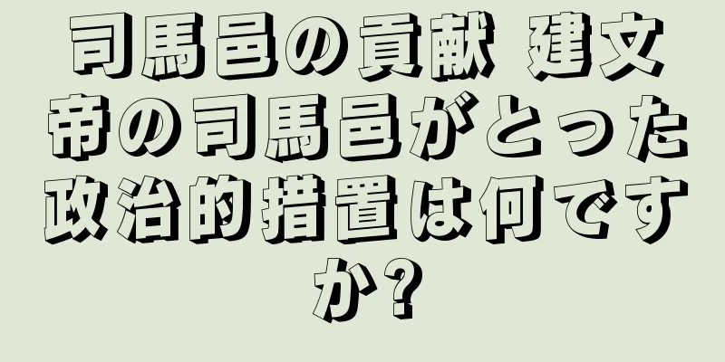 司馬邑の貢献 建文帝の司馬邑がとった政治的措置は何ですか?