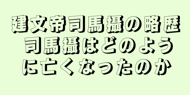 建文帝司馬攝の略歴 司馬攝はどのように亡くなったのか
