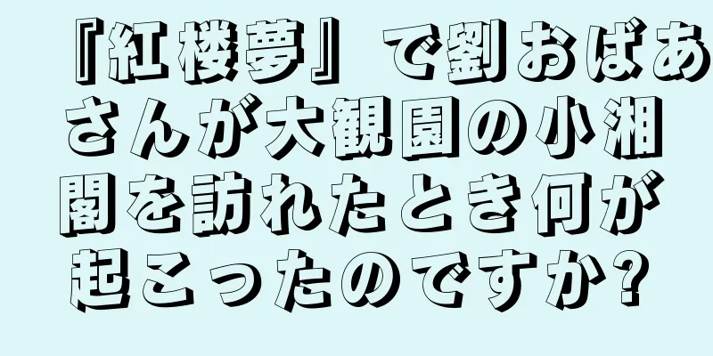 『紅楼夢』で劉おばあさんが大観園の小湘閣を訪れたとき何が起こったのですか?