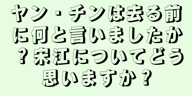 ヤン・チンは去る前に何と言いましたか？宋江についてどう思いますか？