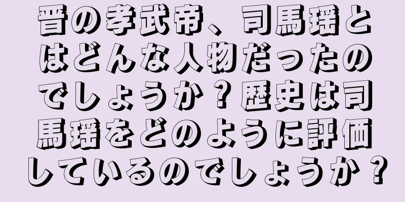 晋の孝武帝、司馬瑶とはどんな人物だったのでしょうか？歴史は司馬瑶をどのように評価しているのでしょうか？