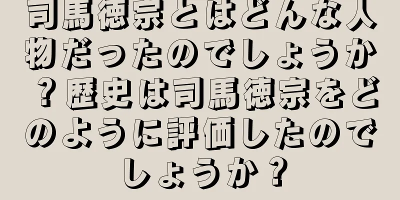 司馬徳宗とはどんな人物だったのでしょうか？歴史は司馬徳宗をどのように評価したのでしょうか？