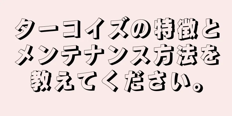 ターコイズの特徴とメンテナンス方法を教えてください。