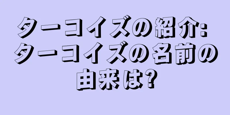 ターコイズの紹介: ターコイズの名前の由来は?