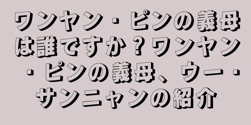 ワンヤン・ピンの義母は誰ですか？ワンヤン・ピンの義母、ウー・サンニャンの紹介