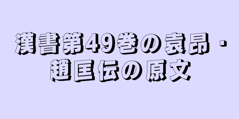 漢書第49巻の袁昂・趙匡伝の原文