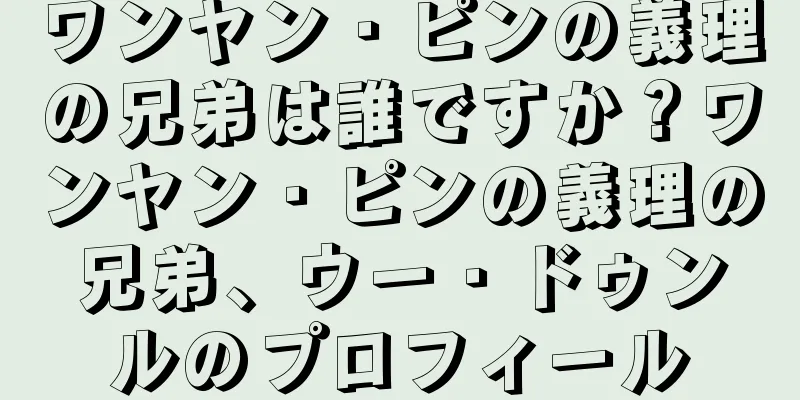 ワンヤン・ピンの義理の兄弟は誰ですか？ワンヤン・ピンの義理の兄弟、ウー・ドゥンルのプロフィール