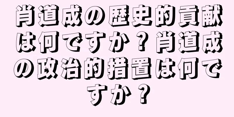 肖道成の歴史的貢献は何ですか？肖道成の政治的措置は何ですか？