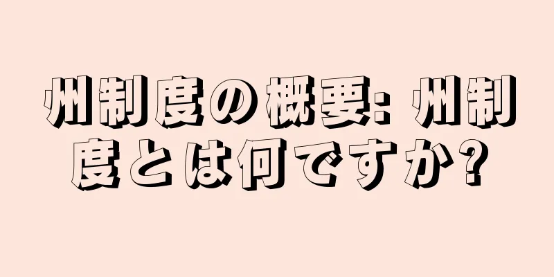 州制度の概要: 州制度とは何ですか?