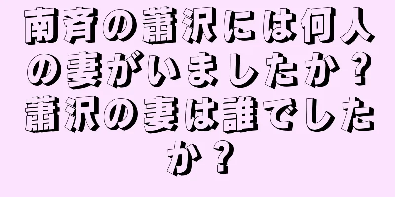 南斉の蕭沢には何人の妻がいましたか？蕭沢の妻は誰でしたか？