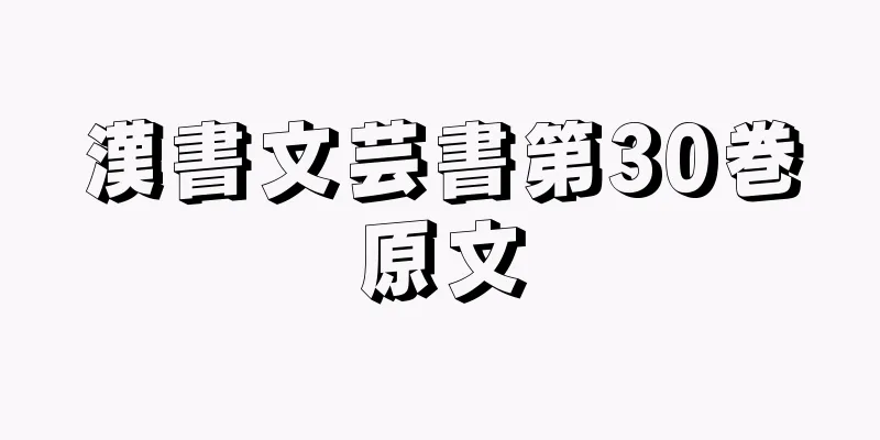 漢書文芸書第30巻原文