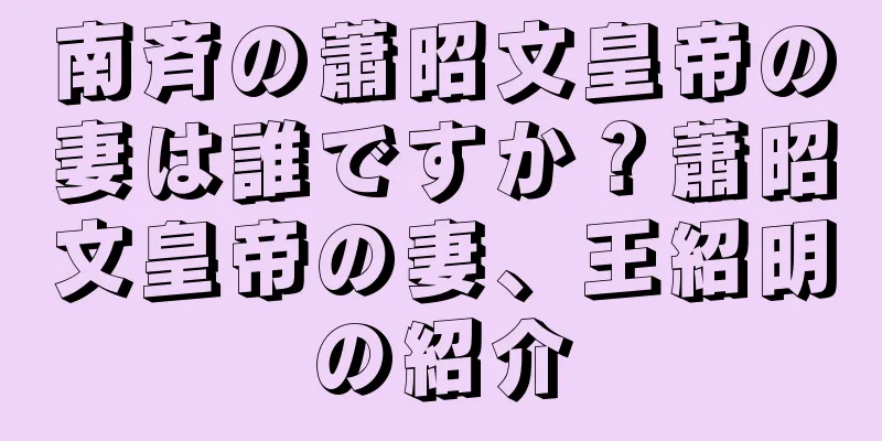 南斉の蕭昭文皇帝の妻は誰ですか？蕭昭文皇帝の妻、王紹明の紹介