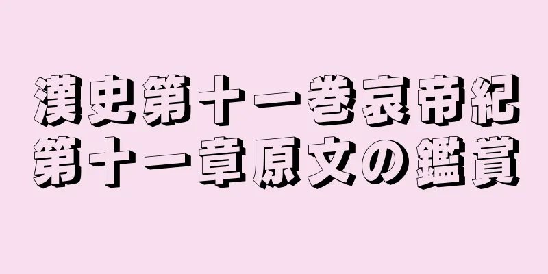 漢史第十一巻哀帝紀第十一章原文の鑑賞
