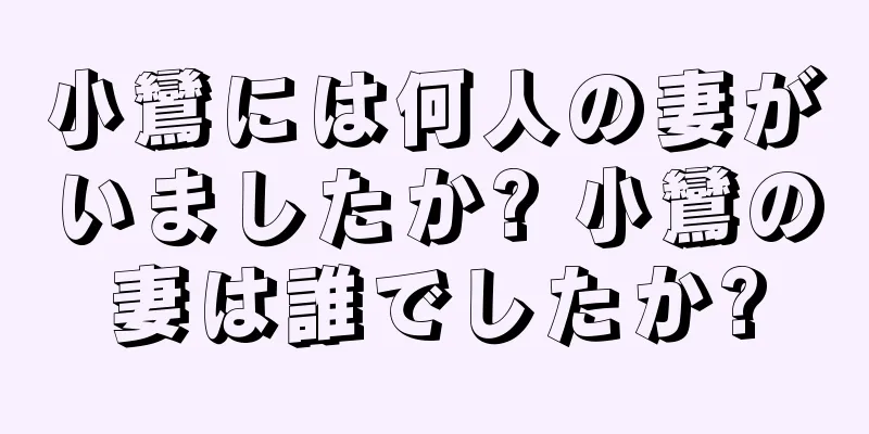 小鸞には何人の妻がいましたか? 小鸞の妻は誰でしたか?