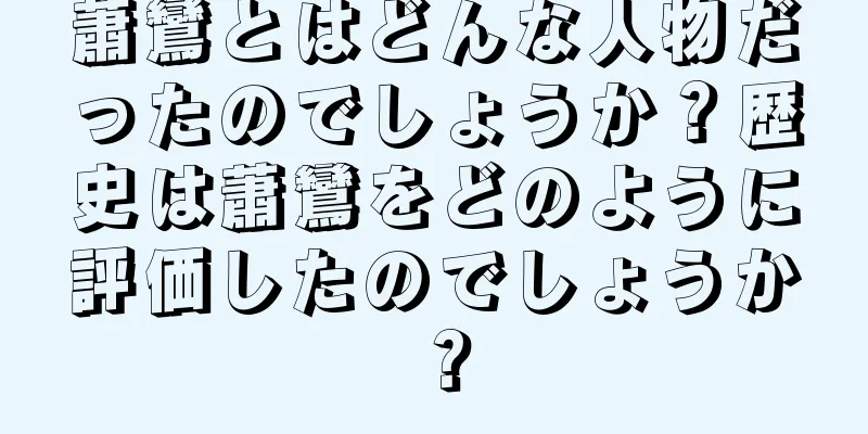蕭鸞とはどんな人物だったのでしょうか？歴史は蕭鸞をどのように評価したのでしょうか？
