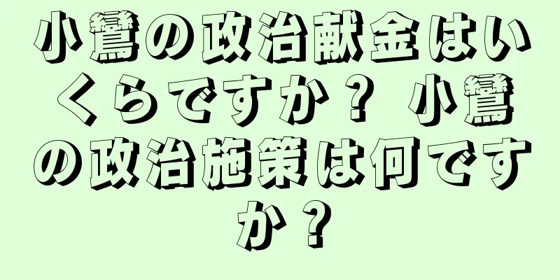 小鸞の政治献金はいくらですか？ 小鸞の政治施策は何ですか？