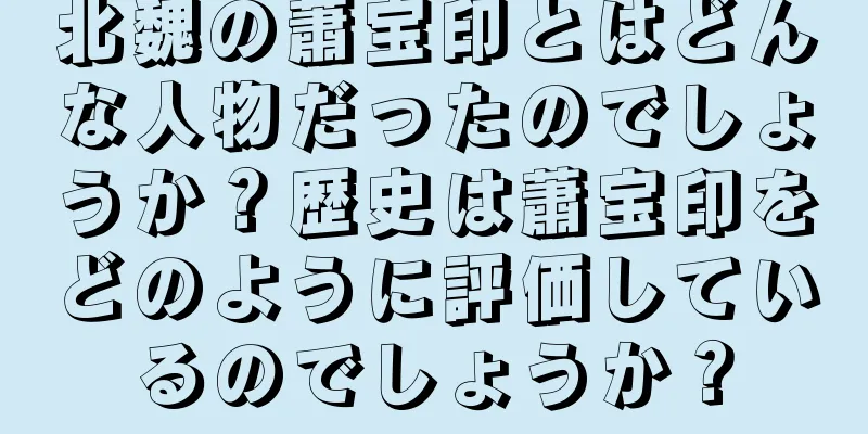 北魏の蕭宝印とはどんな人物だったのでしょうか？歴史は蕭宝印をどのように評価しているのでしょうか？