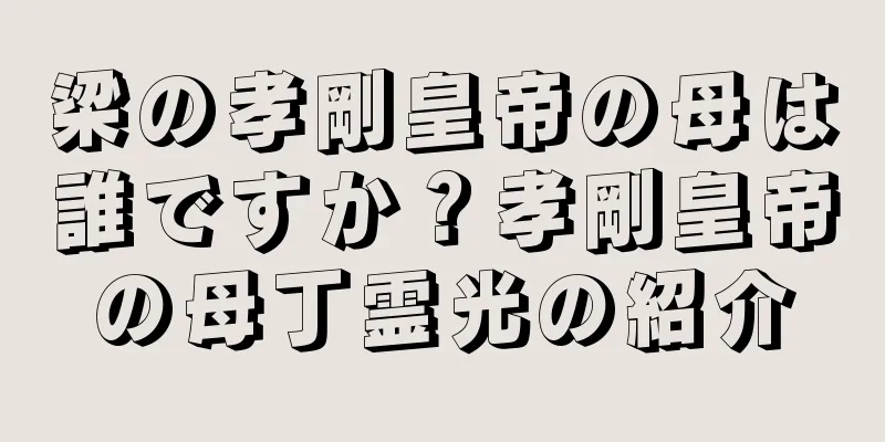 梁の孝剛皇帝の母は誰ですか？孝剛皇帝の母丁霊光の紹介