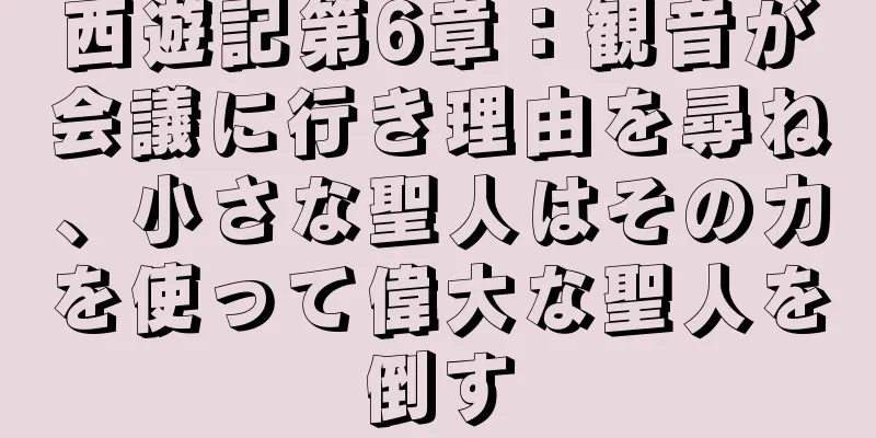 西遊記第6章：観音が会議に行き理由を尋ね、小さな聖人はその力を使って偉大な聖人を倒す