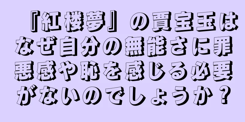 『紅楼夢』の賈宝玉はなぜ自分の無能さに罪悪感や恥を感じる必要がないのでしょうか？