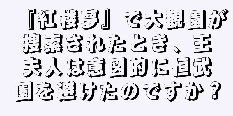 『紅楼夢』で大観園が捜索されたとき、王夫人は意図的に恒武園を避けたのですか？