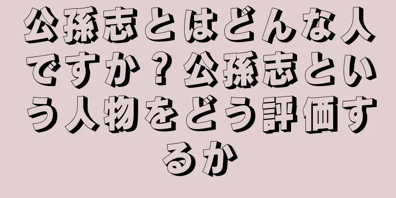 公孫志とはどんな人ですか？公孫志という人物をどう評価するか