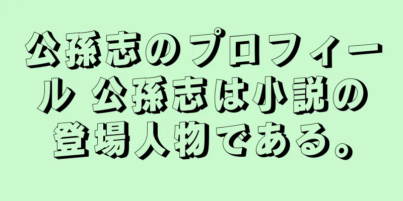 公孫志のプロフィール 公孫志は小説の登場人物である。