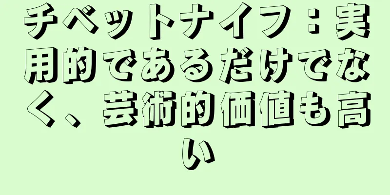 チベットナイフ：実用的であるだけでなく、芸術的価値も高い