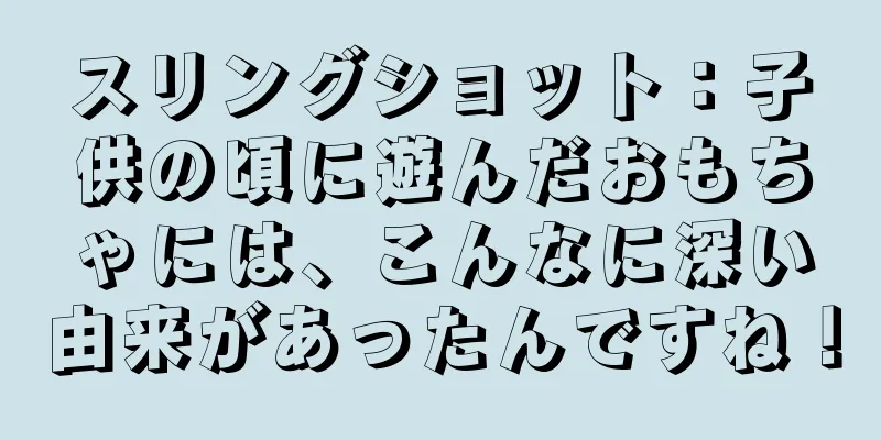 スリングショット：子供の頃に遊んだおもちゃには、こんなに深い由来があったんですね！