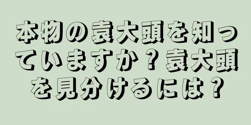 本物の袁大頭を知っていますか？袁大頭を見分けるには？