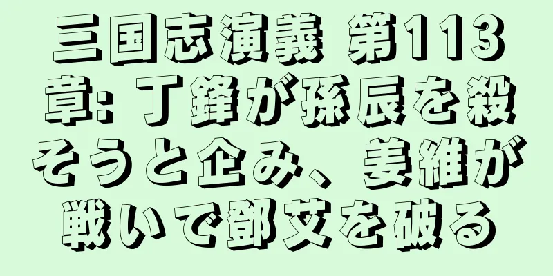 三国志演義 第113章: 丁鋒が孫辰を殺そうと企み、姜維が戦いで鄧艾を破る