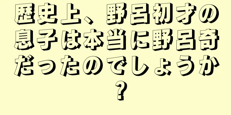 歴史上、野呂初才の息子は本当に野呂奇だったのでしょうか？