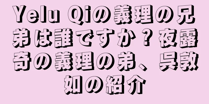 Yelu Qiの義理の兄弟は誰ですか？夜露奇の義理の弟、呉敦如の紹介