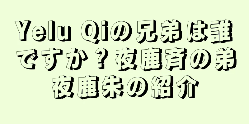 Yelu Qiの兄弟は誰ですか？夜鹿斉の弟夜鹿朱の紹介