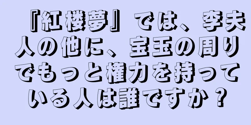 『紅楼夢』では、李夫人の他に、宝玉の周りでもっと権力を持っている人は誰ですか？